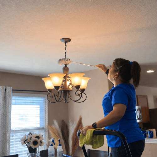 House Cleaning